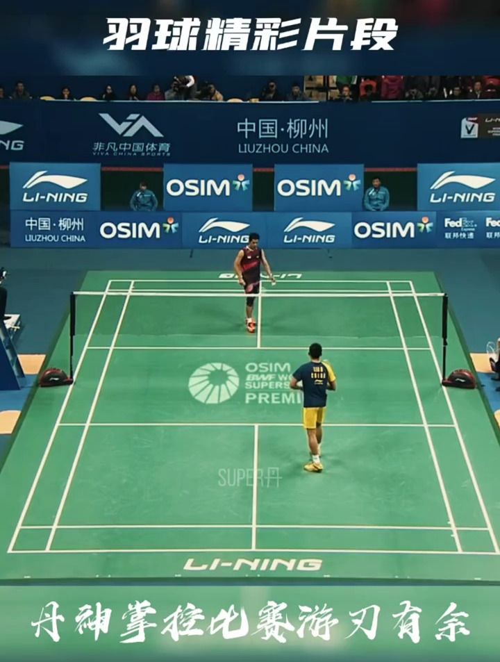 丹麦羽毛球队险胜法国羽毛球队，林丹惊艳世界的简单介绍