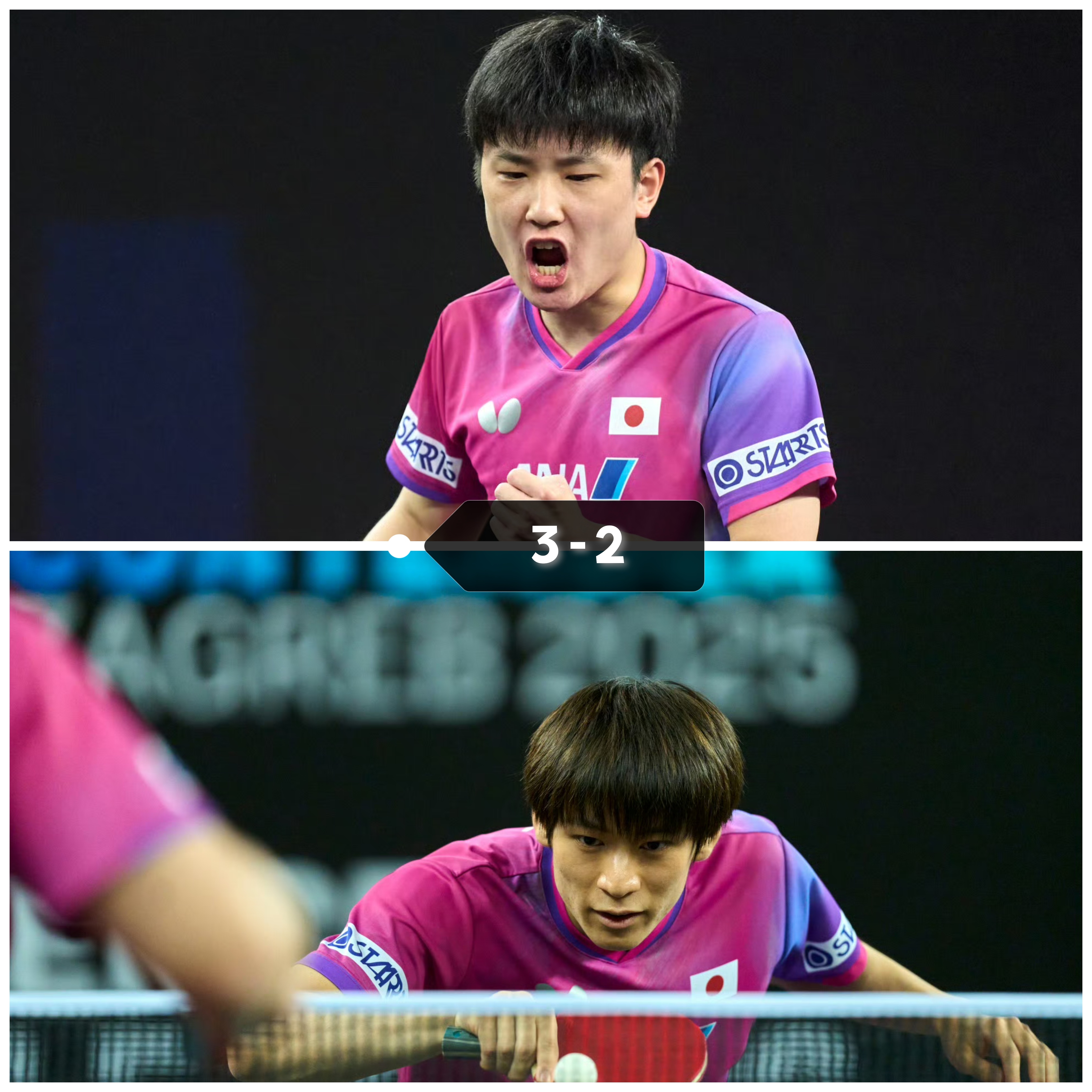 九游app下载-关于葡萄牙队轻取瑞典队，张本智和刷新纪录的信息