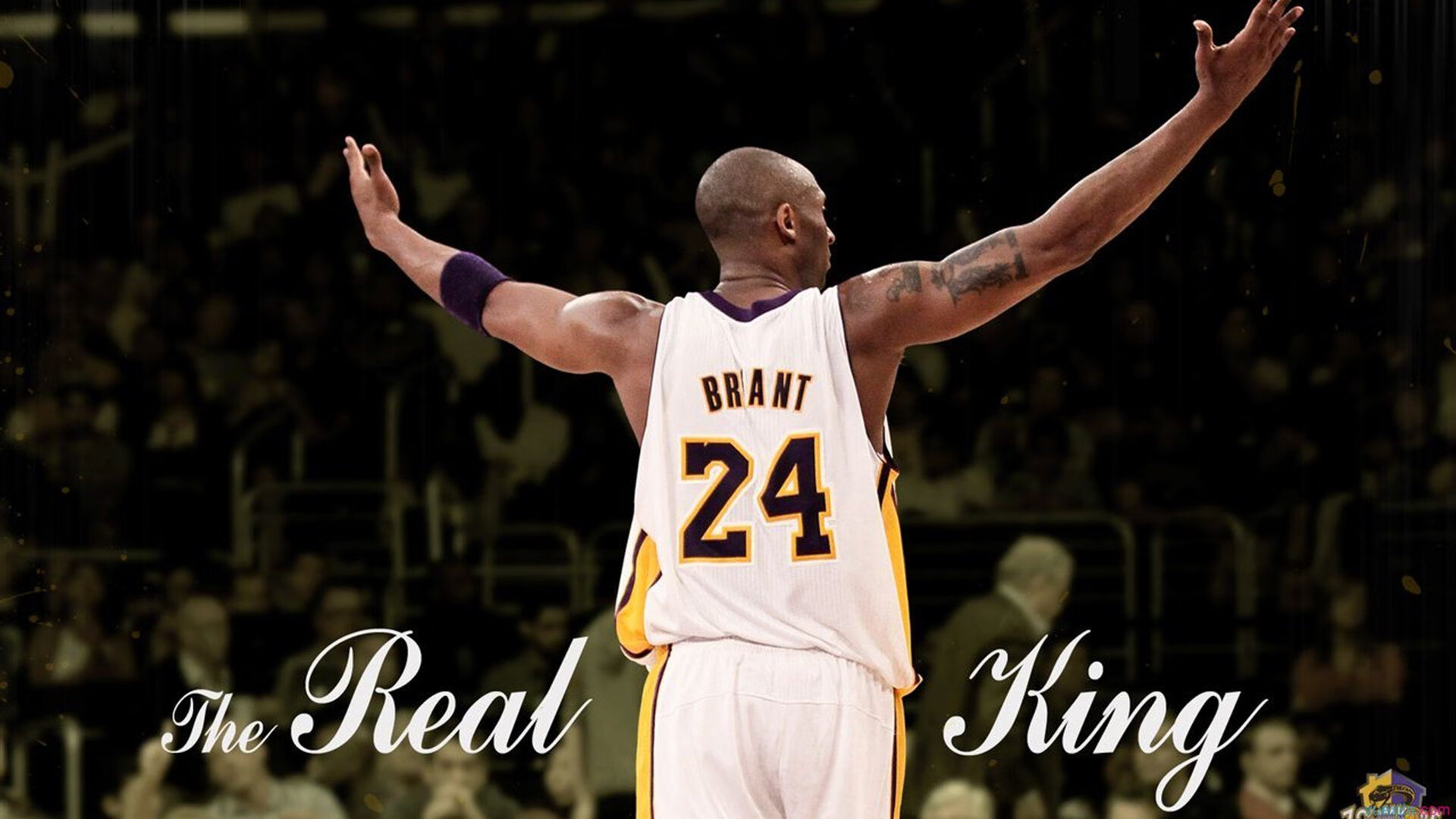 独行侠强压火箭,锡安比赛走势一手掌控,新星崛起与战术博弈